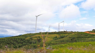 Thu lợi bất chính, công ty điện gió phải trả lại hơn 1,1 tỷ đồng