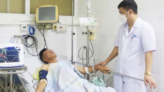 Cảnh báo ngộ độc khi ăn so biển, bạch tuộc vòng xanh