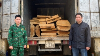 Bí mật bên trong xe tải đông lạnh bị bắt giữ