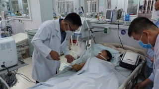 Lại ngộ độc do ăn cá chép ủ chua, 1 người tử vong, 9 người nguy cấp