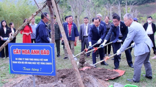 Giao lưu văn hóa gắn kết tình hữu nghị Việt Nam - Nhật Bản