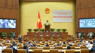 Bảo lãnh và đặt tiền thay thế hình thức tạm giam có điều kiện chặt chẽ