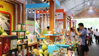 Kết nối giao thương, tiêu thụ nông sản vùng Đông Nam Bộ