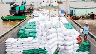 Nhiều cơ hội cho doanh nghiệp Việt đẩy mạnh xuất khẩu sang Indonesia