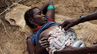 Bi kịch của những phù thủy châu Phi