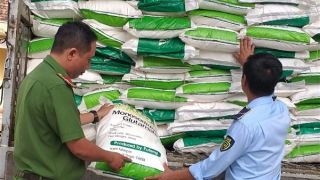 10 tấn bột ngọt không nguồn gốc theo ôtô tải vào nội thành tiêu thụ