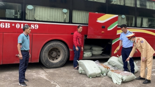 Chặn đường đi của gần nửa tấn lòng lợn bốc mùi hôi thối