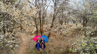 Tuyết trắng tháng 3 nơi miền sơn cước