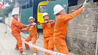EVNHANOI nỗ lực cung cấp điện phục vụ Thủ đô