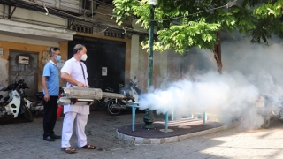 Hà Nội tăng gần 20 lần số ca mắc sốt xuất huyết so với năm ngoái