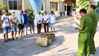 Bắt quả tang 8 đối tượng đá gà, tạm giữ 48 triệu đồng