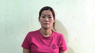 Mua bán quả và cây thuốc phiên tươi, 3 đối tượng bị khởi tố