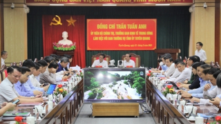 Giải pháp đột phá đưa Tuyên Quang trở thành trung tâm chế biến gỗ