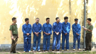 Triệt phá đường dây cá độ bóng đá trên 300 tỷ đồng