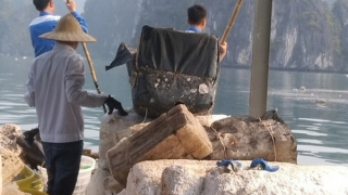 Xử lý rác thải đang "bủa vây" vịnh Hạ Long và Cát Bà