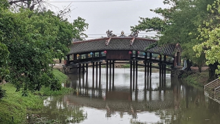 Nỗi buồn cầu ngói