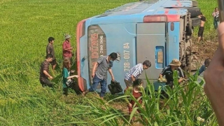 Nhiều người bị thương sau khi xe khách bất ngờ lật nhào xuống ruộng