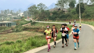 Giải vô địch Quốc gia Marathon và cự ly dài thu hút 4.000 người tham gia