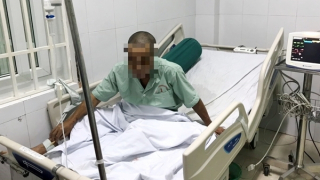 Công bố kết quả kiểm nghiệm mẫu liên quan vụ ngộ độc cá chép ủ chua