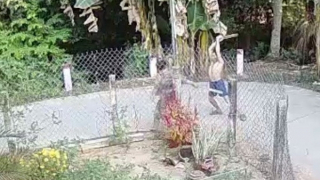 Người đàn ông đánh hàng xóm tử vong