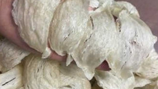 Đề nghị truy tố 2 bị can buôn lậu yến sào từ Indonesia về Việt Nam