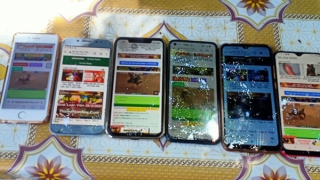 Triệt xóa nhóm đối tượng tổ chức đá gà qua mạng với nhà cái tại nước ngoài