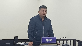 Vừa thoát án hiếp dâm, lại dính án trốn thuế