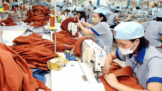 Đẩy mạnh sàn giao dịch việc làm trực tuyến, kết nối cung - cầu lao động