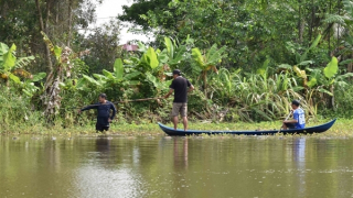 Vây bắt cá sấu lạc vào ao cá nhà dân