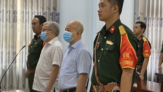 Đinh Ngọc Hệ lãnh thêm 5 năm tù về tội trốn thuế