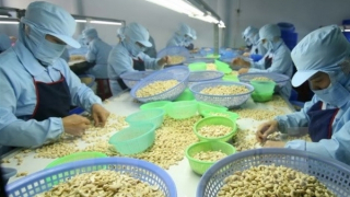 Sẽ giảm lãi suất để hỗ trợ doanh nghiệp vay vốn