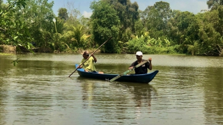 Cảnh báo cá sấu xuất hiện trong ao hồ, kênh rạch ở Bạc Liêu