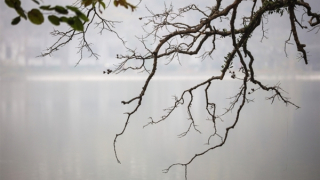 Hà Nội mưa phùn và sương mù, trời nồm ẩm