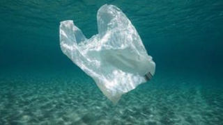 Đi tìm phương pháp tái chế thân thiện với môi trường