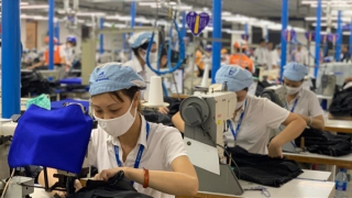 Kinh tế xanh – cứu cánh cho doanh nghiệp phát triển bền vững