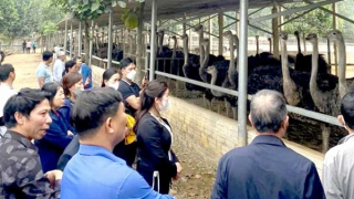 Bẫy lừa từ những “tour du lịch 0 đồng”