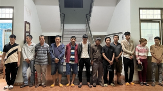 Triệt xóa sòng bạc được "cảnh giới từ xa" trong rừng keo