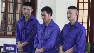 Trốn nã vì giết người, bị bắt vì ma tuý