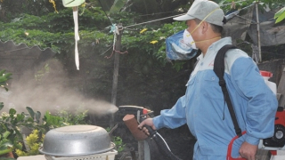 Hơn 24 nghìn ca mắc sốt xuất huyết, 3 người tử vong