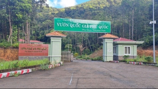 Bộ Kế hoạch và Đầu tư thanh tra nhiều dự án đầu tư công tại Kiên Giang