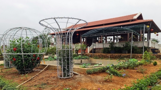 Tiếp cận dinh thự “khủng” trên đất chưa có sổ đỏ của phó bí thư huyện uỷ đất Quảng