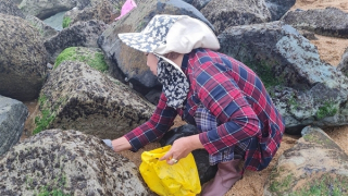 Đời mưu sinh nghề rong biển bên ghềnh đá