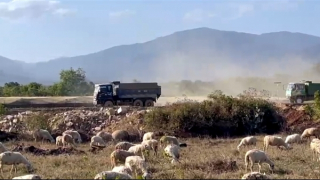 Ninh Thuận xử lý xe quá tải, hết hạn đăng kiểm vận hành tại dự án đường cao tốc