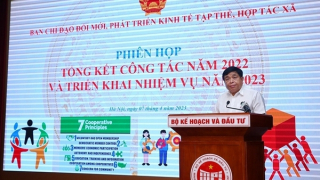 Tháo gỡ các rào cản, tạo động lực mạnh mẽ cho khu vực HTX phát triển