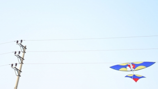 Cần chung tay đảm bảo an toàn hành lang lưới điện