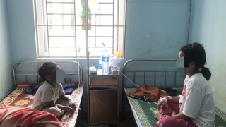 3 người bị ngộ độc do ăn thịt cóc