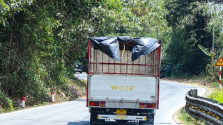 Giải pháp làm giảm tai nạn giao thông trên đèo Bảo Lộc bằng camera