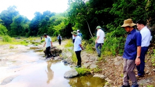 Tạm đình chỉ giải quyết nguồn tin tội phạm liên quan 5 trại chăn nuôi heo ở huyện Tuy An