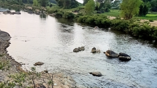 Đi bắt ốc về qua suối, 2 học sinh lớp 1 bị đuối nước