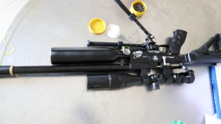 Lên mạng mua súng về ...bắn chim